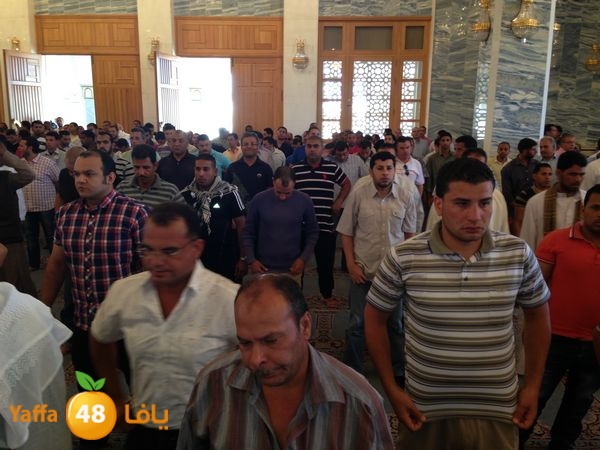 sharmelskhe7 (36).JPG